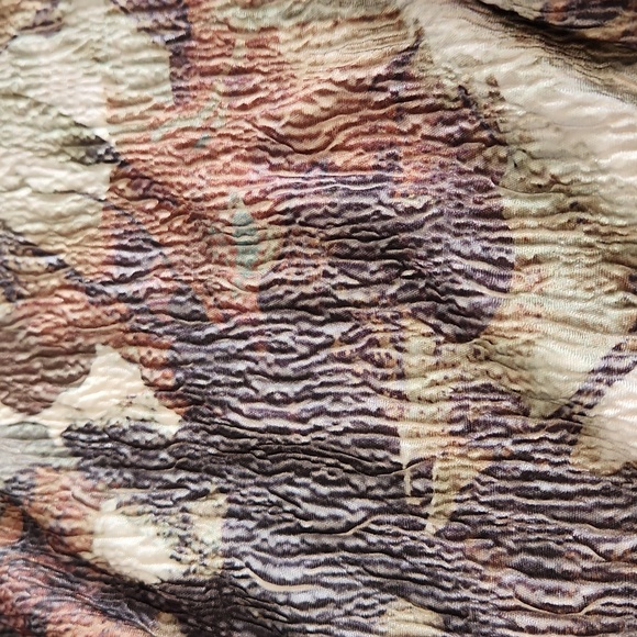 Coldwater Creek - Picture 5 of 7